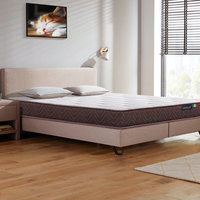 CatzZ 瞌睡猫 邦尼尔椰棕床垫 棕色 180*200cm 升级版