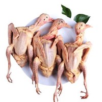 吴琼 鸽子肉新鲜乳鸽3只装约900g 烧烤食材 鸽子汤