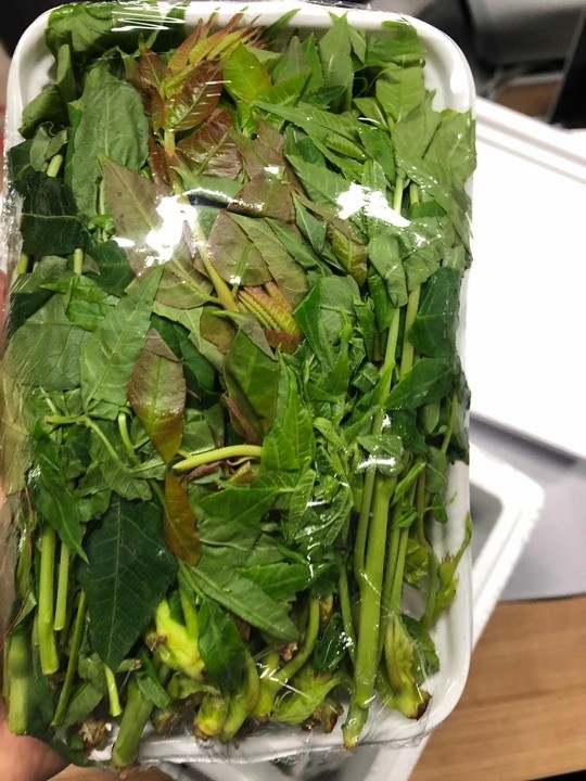 欣娃  头茬香椿芽 500g