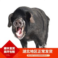 野蛮香 东北长白山脉健康黑猪肉  一头猪 毛重315斤左右