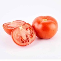 四川攀枝花 精选露天西红柿 番茄  现摘现发 新鲜蔬菜 坏果包赔 蔬菜 3斤装大果