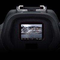 Canon 佳能 EOS R5 8K微单相机 L级24-105标准镜头套装 旗舰型全画幅专业微单