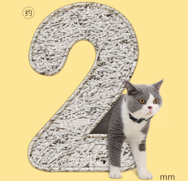选对猫砂才能解救你的生活，尽享清新的撸猫时光～