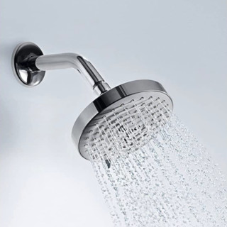 hansgrohe 汉斯格雅 27495001 手持花洒