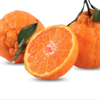 甄新鲜 不知火 丑橘 1.5kg