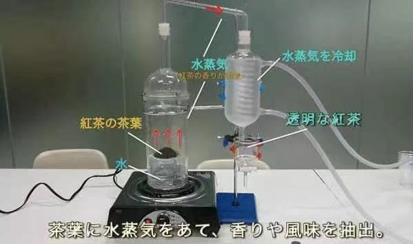 奶茶还有“透明色”？三得利这款透明奶茶你喝过吗？