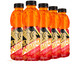 Dapon 大鹏 战马运动饮料维生素风味能量饮料600ml*5瓶整箱