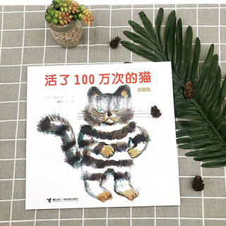 《活了100万次的猫》（珍藏版、精装）