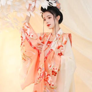 商品liu yan xi leng 流烟昔泠 宋制汉服 涅盘 女士霞帔 普通版(不含