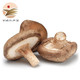  京东PLUS会员：西峡新鲜湿香菇 250g　