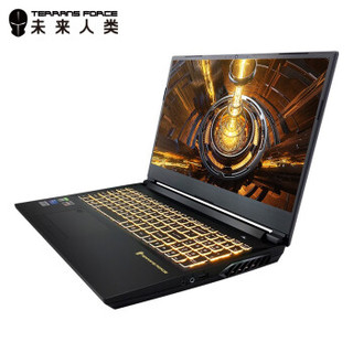 TERRANS FORCE 未来人类 AMD 15.6英寸笔记本电脑（R9-3900、RTX2070、64GB、1TB、144Hz）