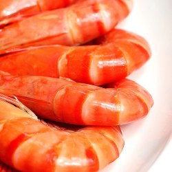 聚福鲜国内熟冻黑虎虾盒装大号已核酸检测净重500g海鲜水产2331只盒