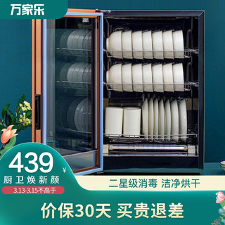 万家乐 消毒柜家用 碗筷碗柜消毒 小型 立式 高温 触屏控制 二星级 家用餐具消毒柜 RTD60-S