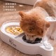 小编精选、超级萌宠节：IRIS 爱丽思 猫咪自动喂食器