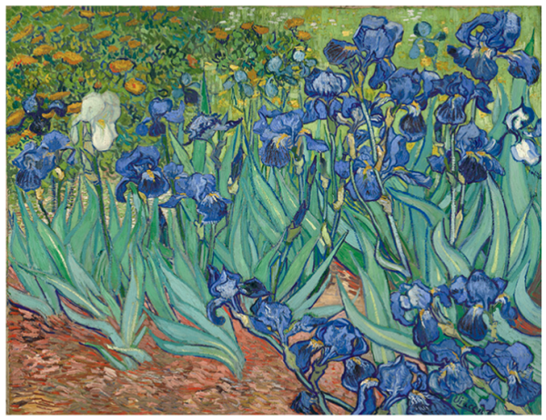 梵高 鸢尾花 艺术油画作品艺术版画50 65cm 什么值得买