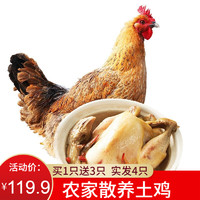 买1只送3只 农家散养土鸡三黄鸡嫩鸡肉 新鲜生鸡肉 整只装 700g/只