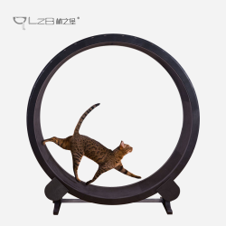 one fast cat 林之堡 大滚轮健身锻炼跑步机
