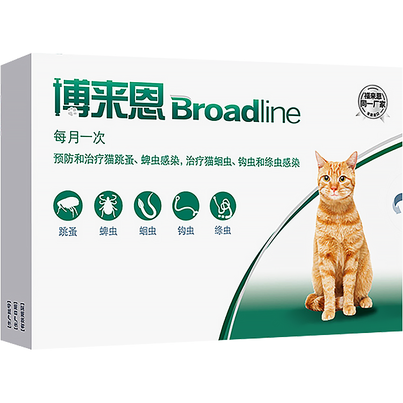 家里的猫狗 会传染新冠状病毒吗 宠物用品 什么值得买