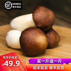 新鲜赤松茸1000g大球盖菇食用菌菇蘑菇时令蔬菜煲汤火锅食材特产