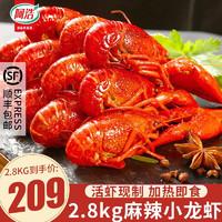 京东PLUS会员：阿浩 小龙虾 2.8kg 4-6钱/100-120只 净虾2.5kg