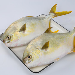 翔泰 金鲳鱼900g（2条）*3件+免浆鱼片200g+真鳕鱼/蚬子肉300g +凑单品
