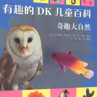 《DK少儿科普书系·有趣的DK儿童百科》（套装共5册）