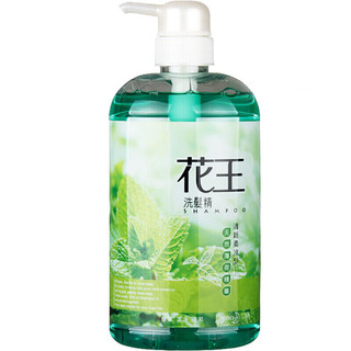 Kao 花王 洗发精 清新柔凉型 750ml