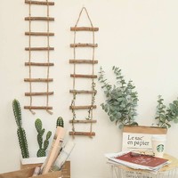 绿植装饰杂木梯子