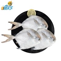 ZHONGYANG FISH WORLD 中洋鱼天下 舟山银鲳鱼 450g