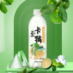 秋林卡曼橘味苏打气泡水450ml12瓶