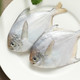 鲳鱼/蚬子肉/鲷鱼柳/酸菜鱼组合（鲳鱼8.9元/斤等）