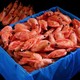  京东PLUS会员：渔游记  北极腹籽甜虾  2kg　