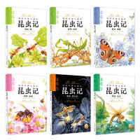 《写给中国儿童的昆虫记》（套装共6册）