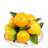 酷果汇 湖南石门蜜桔 新鲜柑橘 蜜桔 新鲜薄皮蜜桔 青皮橘子 10斤精选大果（一斤4个左右）