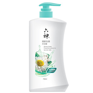 六神 清凉沐浴露系列沐浴露套装 (清凉爽肤750ml+清新沁爽750ml)