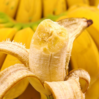 广西小米蕉 新鲜香蕉 现摘应季新鲜水果 小米蕉约5斤装