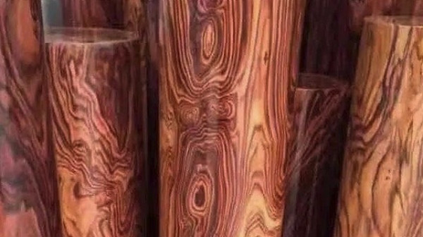 花梨木精油介绍 解释 什么意思 什么值得买