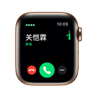 Apple 苹果 Watch Series 5 GPS+蜂窝款 智能手表 40mm 金色不锈钢表壳 金色米兰尼斯表带（GPS）