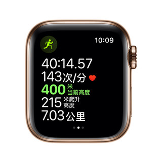 Apple 苹果 Watch Series 5 GPS+蜂窝款 智能手表 40mm 金色不锈钢表壳 金色米兰尼斯表带（GPS）