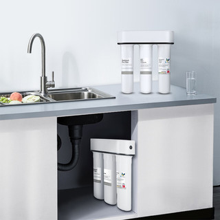 Doulton 道尔顿 净水器家用直饮 台下式净水机厨房D-IP301