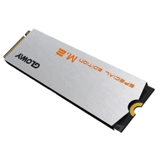 GLOWAY 光威 VAL240NVMe-M.2/80 NVMe M.2 固态硬盘 240GB（PCl-E3.0）
