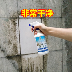 盾王除垢王瓷砖清洁剂强力去污家用厕所地板砖草酸卫生间清洗神器