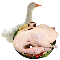 睿展新鲜活鸭宰杀土鸭子肉约2斤只