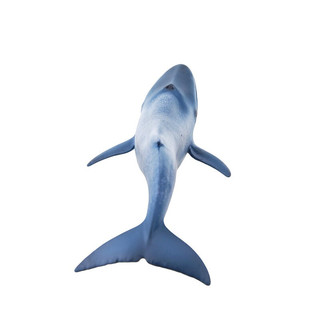 Schleich 思乐 野生动物世界 14696 蓝鲸