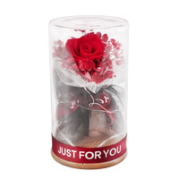 I'M HUA HUA 永生玫瑰花满天星彩灯许愿瓶 红色