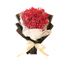 Para Ella 满天星永生花 红色小花束