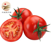 普罗旺斯西红柿 沙瓤西红柿 生吃番茄 新鲜水果蔬菜5斤装 约2.5kg装