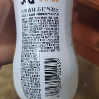 元气森林 苏打气泡水组合装 2口味 480ml*24瓶（白桃味480ml*12瓶+卡曼橘味480ml*12瓶）