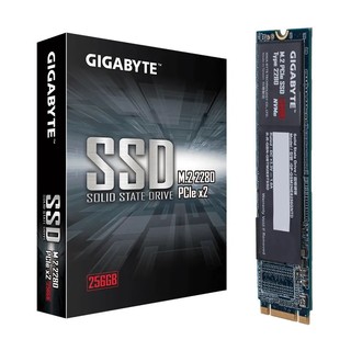 GIGABYTE 技嘉 猛盘 GSM2NE8256GNTD NVMe M.2 固态硬盘 256GB (PCI-E3.0)