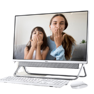 DELL 戴尔 灵越5401 十一代酷睿版 23.8英寸 一体机 商务黑（酷睿i5-1135G7、核芯显卡、8GB、256GB SSD+1TB HDD、1080P、IPS）